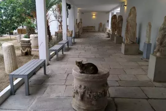 Archaeological Museum of Mykonos