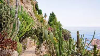 marinatips - Jardin Exotique de Monaco