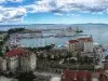 Gulf of Trieste - 3 countries, 1 cruise